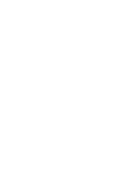 logo light